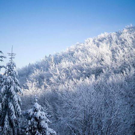 Poniwiec Mala Czantoria Ustron Dış mekan fotoğraf